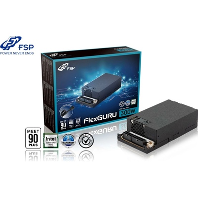 Fortron FlexGURU 300W PPA3004300