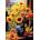 KS Games - Puzzle Spring by the Window - 500 piese