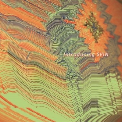 Introducing SVIN - Svin CD