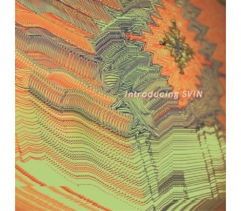 Introducing SVIN - Svin CD