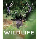 Wildlife