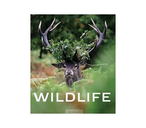 Wildlife