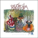SYNAESTHESIA: SYNAESTHESIA CD