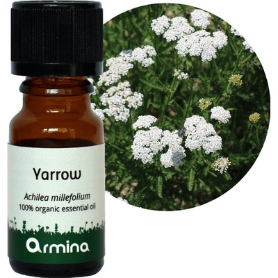 Armina Bio éterický olej Řebříček 10 ml