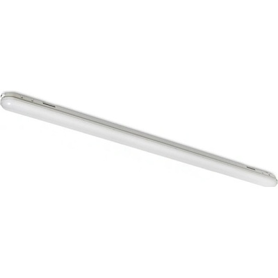 Rendl G13671