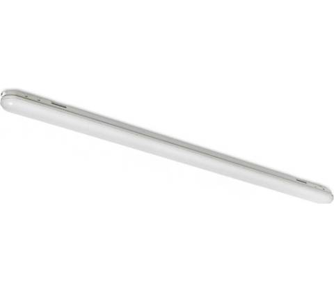 Rendl G13671