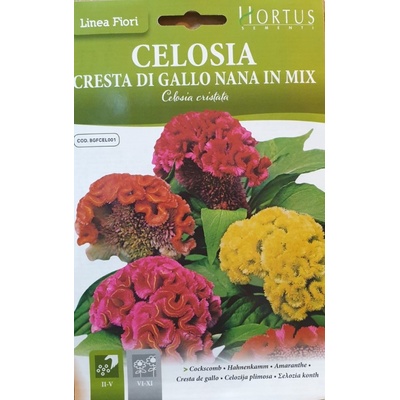 Hortus Целозия Джудже Микс Celosia cristata
