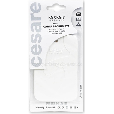 Mr&Mrs Fragrance Cesare Scented Cards Fresh Air