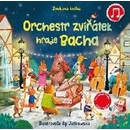 Orchestr zvířátek hraje Bacha - Zvuková kniha - Taplin Sam