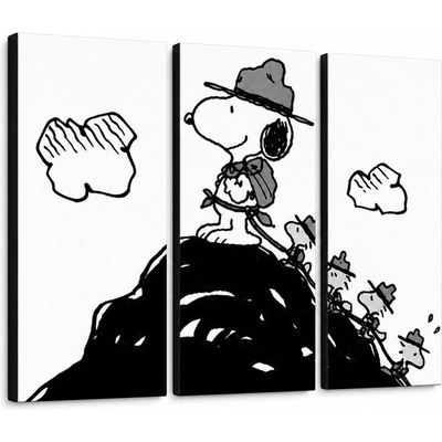 Ručne maľovaný POP Art obraz SNOOPY - 90x60 cm