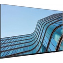 Lenovo ThinkVision E55