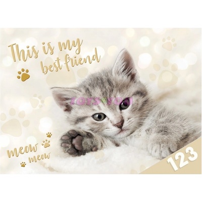 DESKY NA ČÍSLICE KOČKA – Zboží Mobilmania