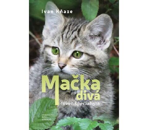 Mačka divá