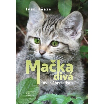 Mačka divá