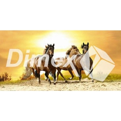 DIMEX | Obraz na skle | Kone GL-60-015 | 60 x 30 cm