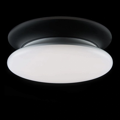 THE LIGHT GROUP SLC1065