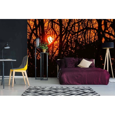 DIMEX ART Самозалепваща се флизелинова фототапета силует от клони 375 x 250 см