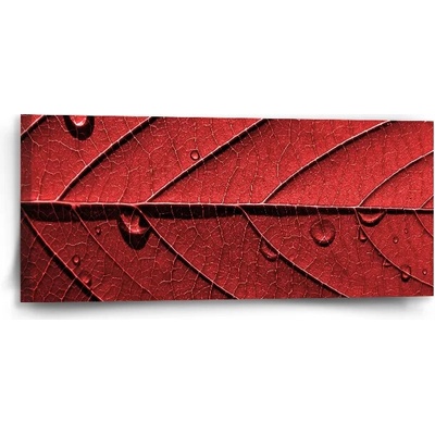 Sablio Obraz Červený list - 110x50 cm