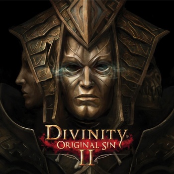 Divinity Original Sin 2