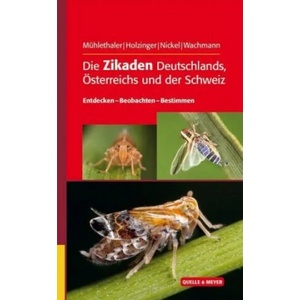 Die Zikaden Deutschlands, Österreichs und der Schweiz | Roland Mühlethaler, Werner E. Holzinger, Herbert Nickel, Ekkehard Wachmann (ISBN: 9783494016481)
