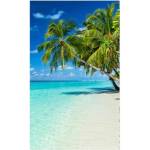 DIMEX ART Флизелинов фототапет тропически рай 150 x 250 см