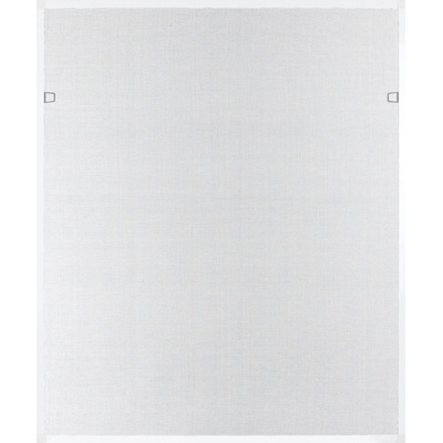 DEMA Okenná sieťka proti hmyzu s hliníkovým rámom 100x120 cm, biela