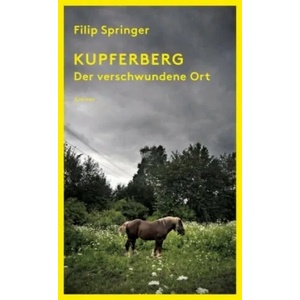 Kupferberg | Filip Springer, Lisa Palmes (ISBN: 9783552059085)