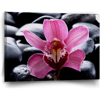 Sablio Obraz Ružová orchidea - 60x40 cm