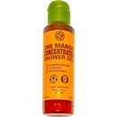 Yves Rocher koncentrovaný sprchový gél Mango 100 ml