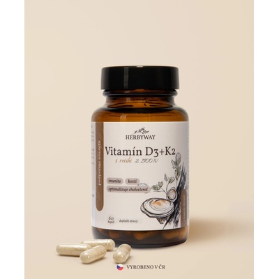 Herbs Energy Vitamín D3 + K2 2500 IU 60 dávek