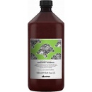 Davines NATURALTECH Renewing šampon proti stárnutí vlasů 1000 ml