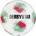 DERBYSTAR Tempo TT v25 Training Ball