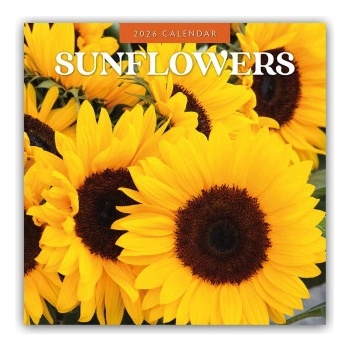 Browntrout Verlags GmbH Sunflowers - Sonnenblumen 2026 - 16-Monatskalender