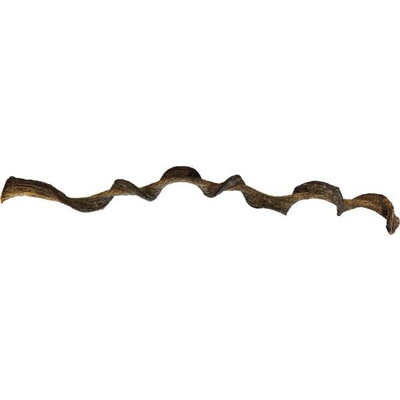 Repto Jungle Wood 95 cm