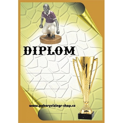 VIZINGR Pétanque žena diplom A4 č.18