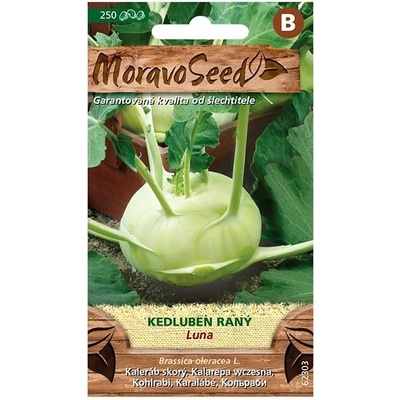 MORAVOSEED CZ Kedluben raný LUNA, bílý
