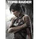 Tomb Raider (Survivor Edition)