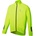 BBB Baseshield