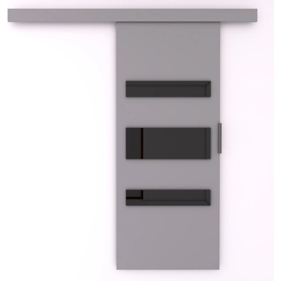 Sconto Posuvné dvere DESIO 76 sivá/čierna 76x205 cm