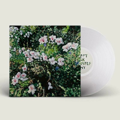 JESS LOCKE - Dont Ask Yourself Why LP