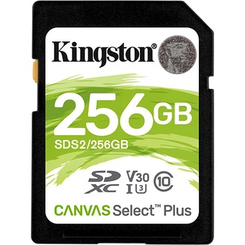 Kingston SDXC UHS-I U3 256GB SDC2/256GB