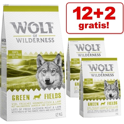 Wolf of Wilderness Explore The Vast Forests Weight Management 12 kg