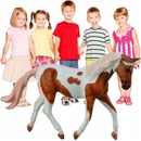 Collecta Palomino hříbě