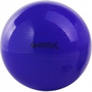 Ledragomma Gymnastik Ball 65 cm