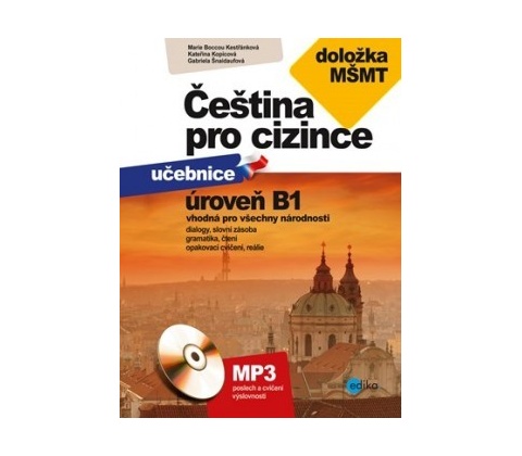 Čeština pro cizince