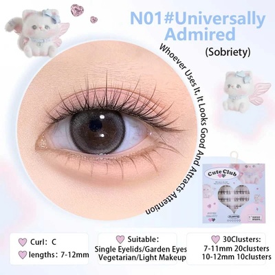 Flortte - Special Edition False Eyelashes 30pcs - N01 UNIVERSALLY ADMIRED