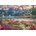 Castorland - Puzzle Spring mountain majesty 1000 - 1 500 piese