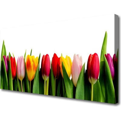 Obraz na plátne Tulipány rastlina 100x50 cm