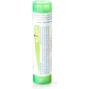 Iris Versicolor gra.1 x 4 g 5CH