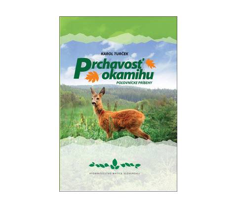 Prchavosť okamihu